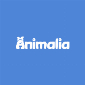 Animalia