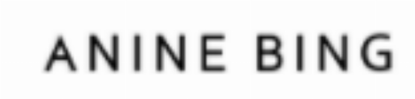 ANINE BING