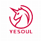 AO- Yesoul Fitness Geo s Realtime