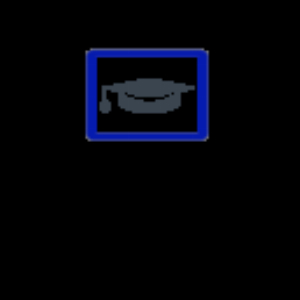 Apex Virtual Education