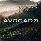 Avocado Green Mattress