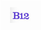 b12 io