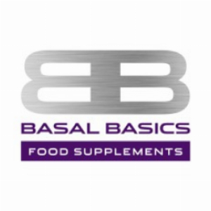 Basal Basics Reporting Realtime