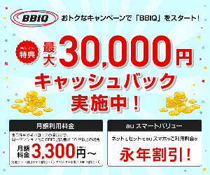 BBIQ 30 000 20-1117