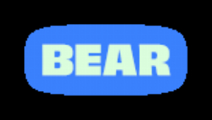 Bear Mattress