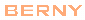 BERNY WATCH Official Store