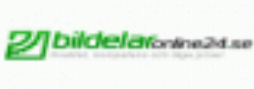 bildelaronline24