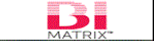 bimatrix