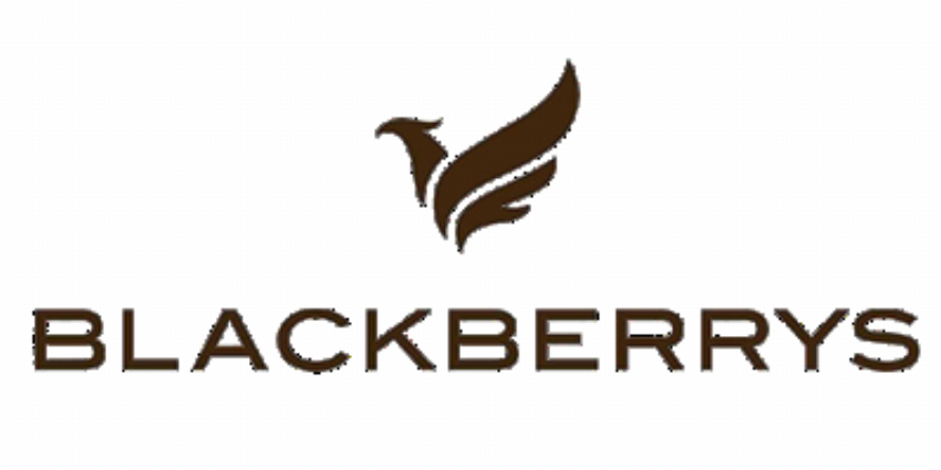 Blackberry