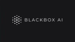 BLACKBOX AI WW