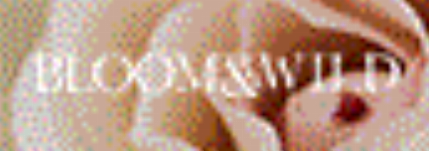 Kortingscode voor 10% Rabatt auf unsere Kollektion bij Bloom Wild