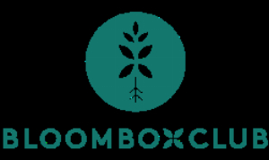 Bloombox Club y