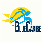 Blue Caribe Tours