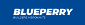 Blueperry Tool Builders Merchants