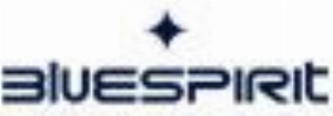 Bluespirit IT