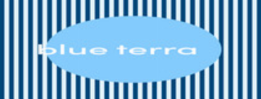 BlueTerra AE SA offline codes links
