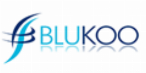 Blukoo - Blukoo main programme