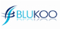 Blukoo - Blukoo main programme