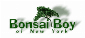 Bonsai Boy
