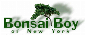 Bonsai Boy of New York
