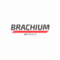 Brachium Autoteile
