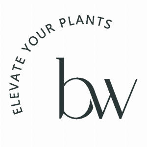 BRAID WOOD Design Studio