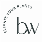 BRAID WOOD Design Studio