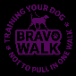 BravoWalk