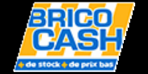 Brico Cash