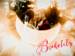 bridelily