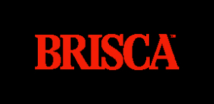 BRISCA