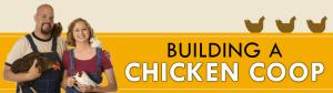 Building A Chicken Coop