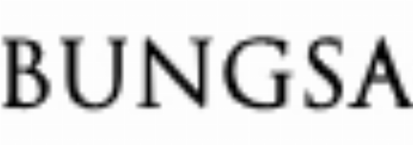Bungsa