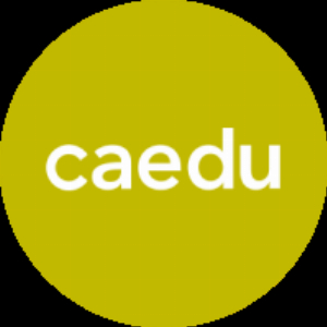 Caedu