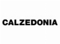 Calzedonia GB