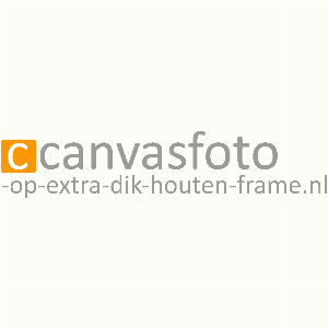 Canvasfoto-op-extra-dik-houten-frame