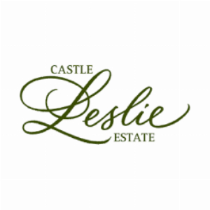 Castle Leslie Reporting Realtime