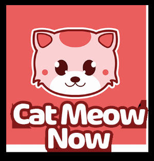 Cat Meow Now