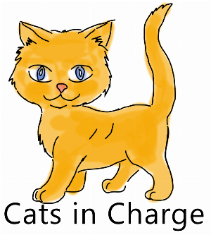 catsincharge