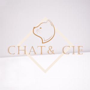 CHAT CIE