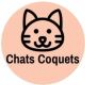 Chats Coquets