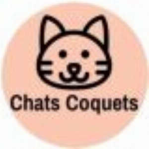 chatscoquets