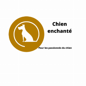 Chien-enchante