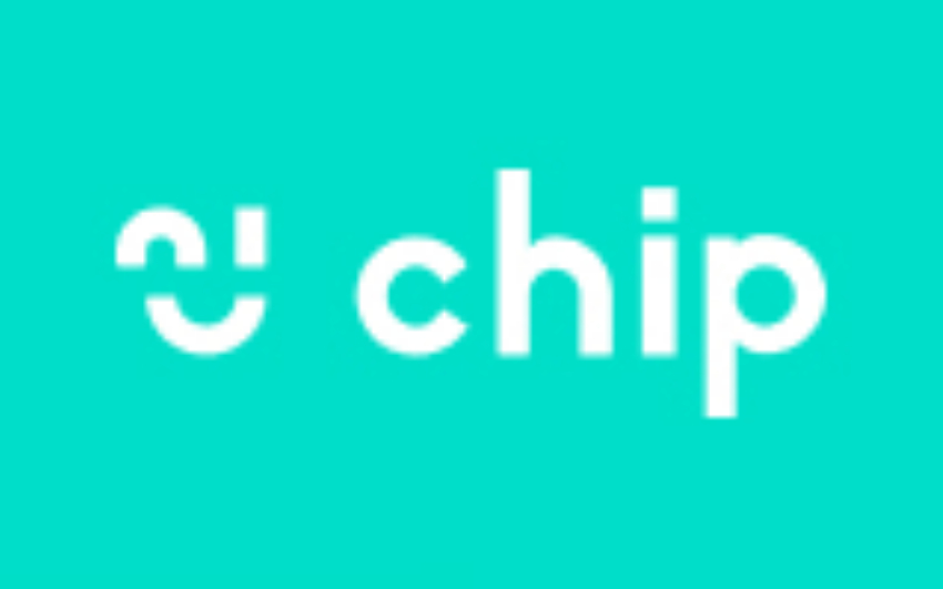 Chip