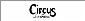 Circus by Sam Edelman