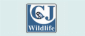 CJ Wildlife