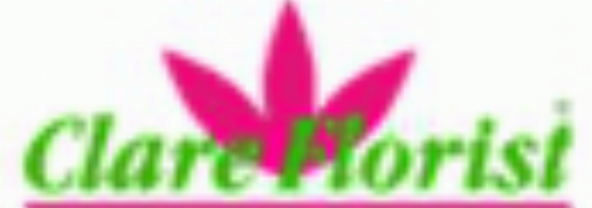 Kortingscode voor Save 10% on Valentines Day Roses bij Clare Florist