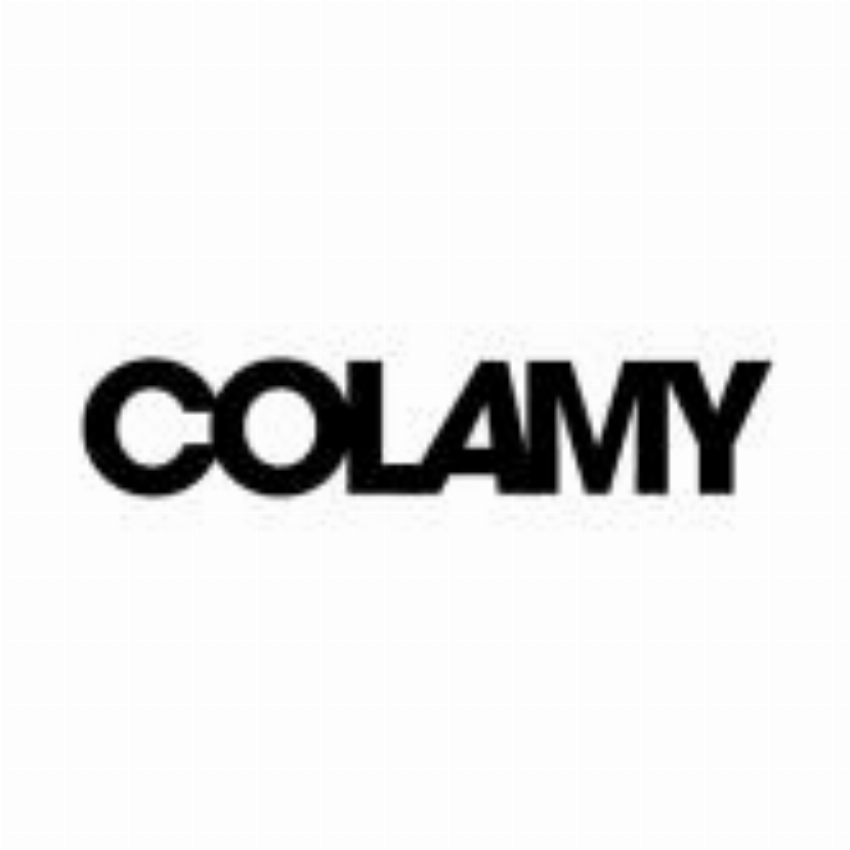 COLAMY