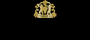 Collisoligoshop