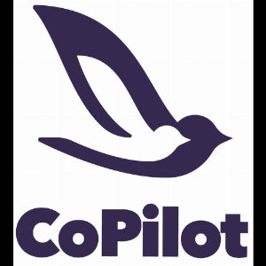 CoPilot Systems Inc